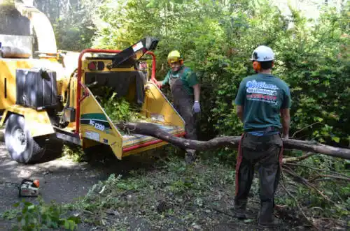 tree services Manning